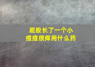 屁股长了一个小痘痘很痒用什么药