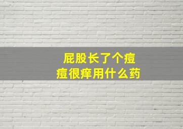 屁股长了个痘痘很痒用什么药