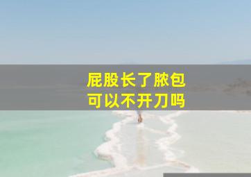 屁股长了脓包可以不开刀吗