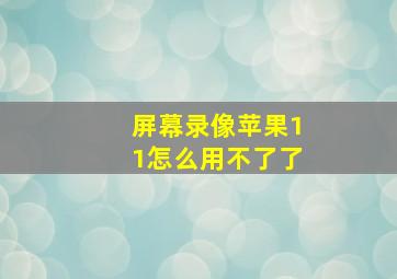 屏幕录像苹果11怎么用不了了