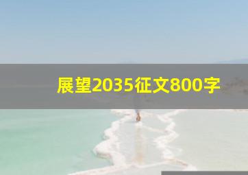 展望2035征文800字