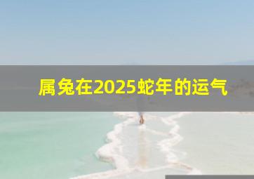 属兔在2025蛇年的运气