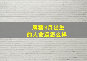 属猪3月出生的人命运怎么样