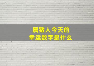 属猪人今天的幸运数字是什么