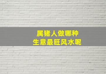 属猪人做哪种生意最旺风水呢