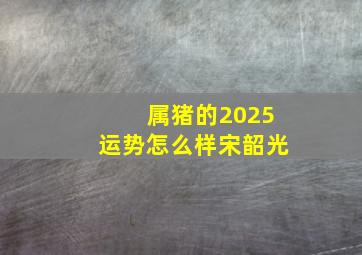 属猪的2025运势怎么样宋韶光