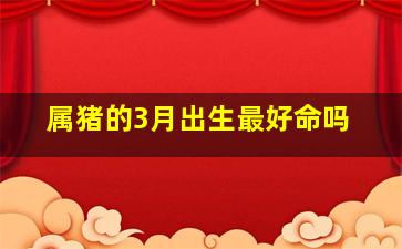 属猪的3月出生最好命吗