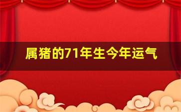 属猪的71年生今年运气