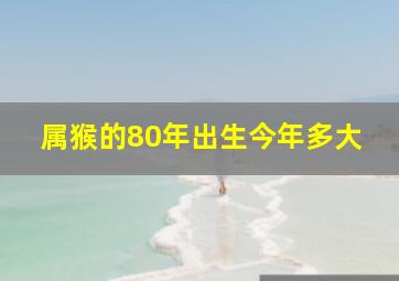 属猴的80年出生今年多大