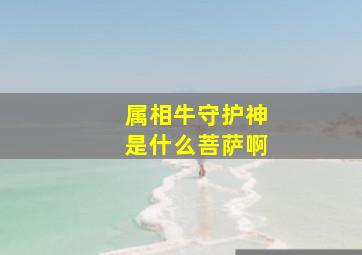 属相牛守护神是什么菩萨啊