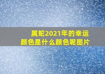 属蛇2021年的幸运颜色是什么颜色呢图片