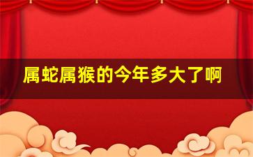 属蛇属猴的今年多大了啊