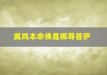 属鸡本命佛是哪尊菩萨