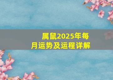 属鼠2025年每月运势及运程详解