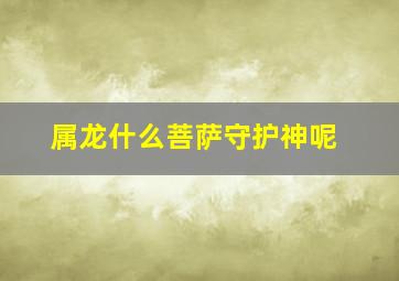 属龙什么菩萨守护神呢