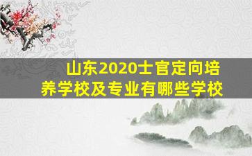 山东2020士官定向培养学校及专业有哪些学校