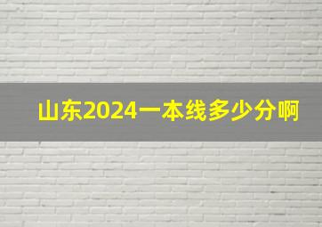 山东2024一本线多少分啊