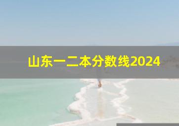 山东一二本分数线2024