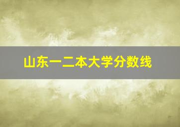 山东一二本大学分数线