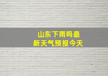 山东下雨吗最新天气预报今天