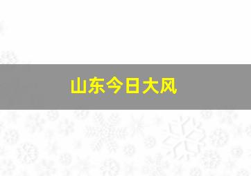 山东今日大风