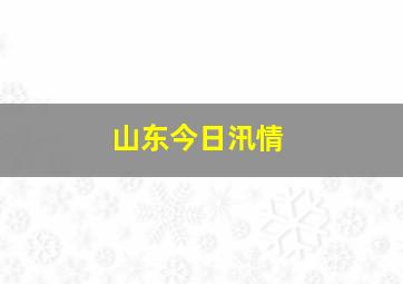 山东今日汛情