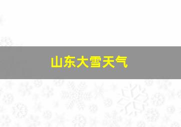 山东大雪天气