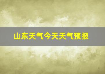 山东天气今天天气预报