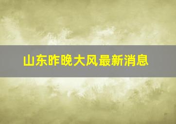 山东昨晚大风最新消息