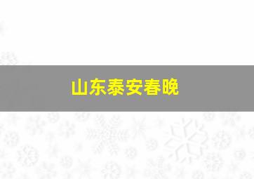 山东泰安春晚