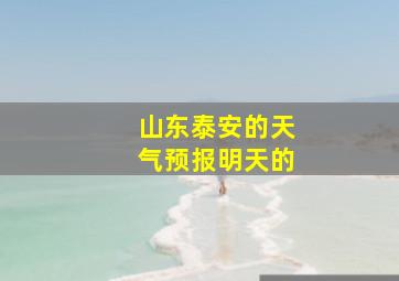 山东泰安的天气预报明天的