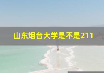 山东烟台大学是不是211