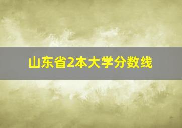 山东省2本大学分数线