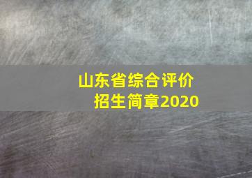 山东省综合评价招生简章2020