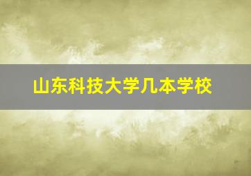 山东科技大学几本学校