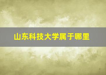 山东科技大学属于哪里