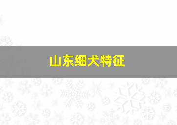 山东细犬特征