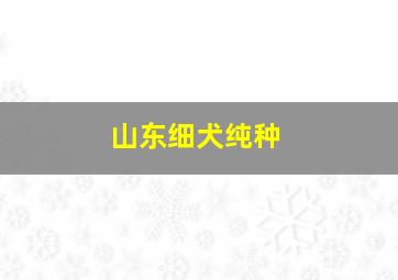 山东细犬纯种