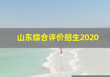 山东综合评价招生2020