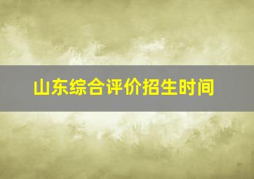 山东综合评价招生时间