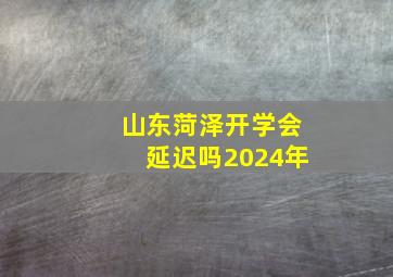 山东菏泽开学会延迟吗2024年