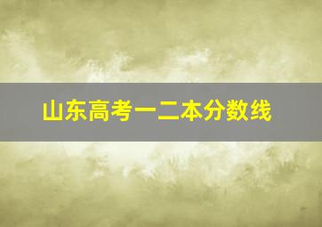 山东高考一二本分数线