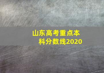 山东高考重点本科分数线2020