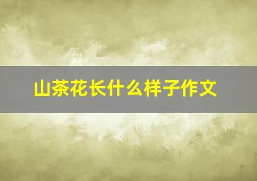 山茶花长什么样子作文