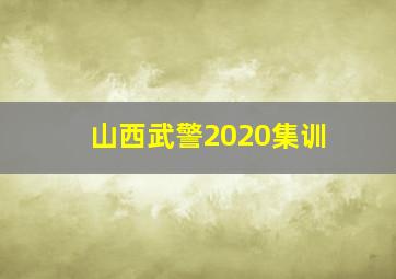 山西武警2020集训