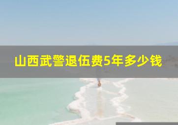 山西武警退伍费5年多少钱