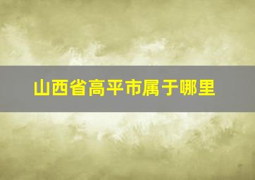 山西省高平市属于哪里