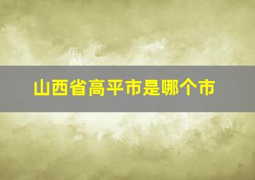 山西省高平市是哪个市