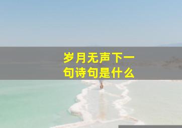 岁月无声下一句诗句是什么