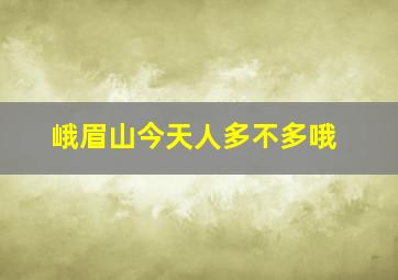 峨眉山今天人多不多哦